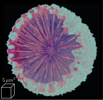 /tdehaeze/phd-thesis/media/commit/6f265dc35dfd8b66579c1747978acecf82f55d7b/figs/introduction_tomography_picture.png